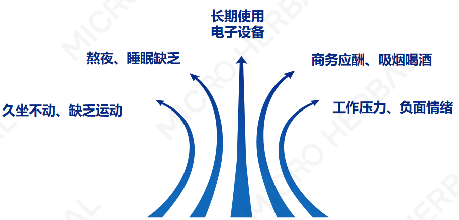 亚美AM8AG·(中国区)官方网站