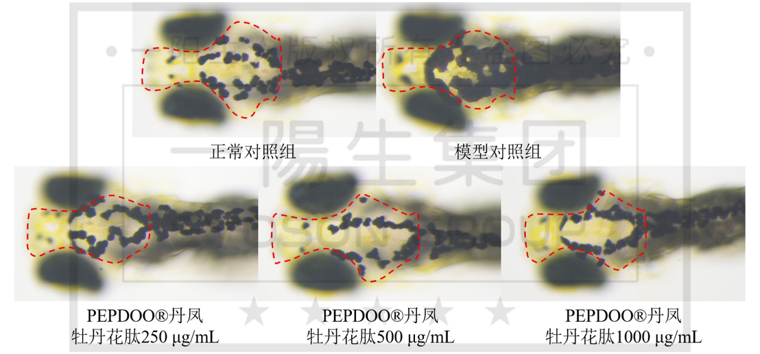 亚美AM8AG·(中国区)官方网站