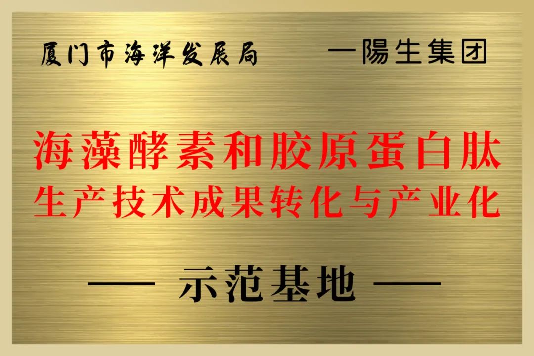 亚美AM8AG·(中国区)官方网站